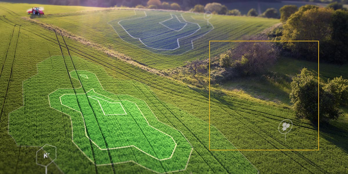 Giornata mondiale del suolo, Syngenta presenta INTERRA®Scan